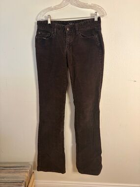 Ann Taylor LOFT Curvy Boot Corduroy Pants - Chocolate Brown